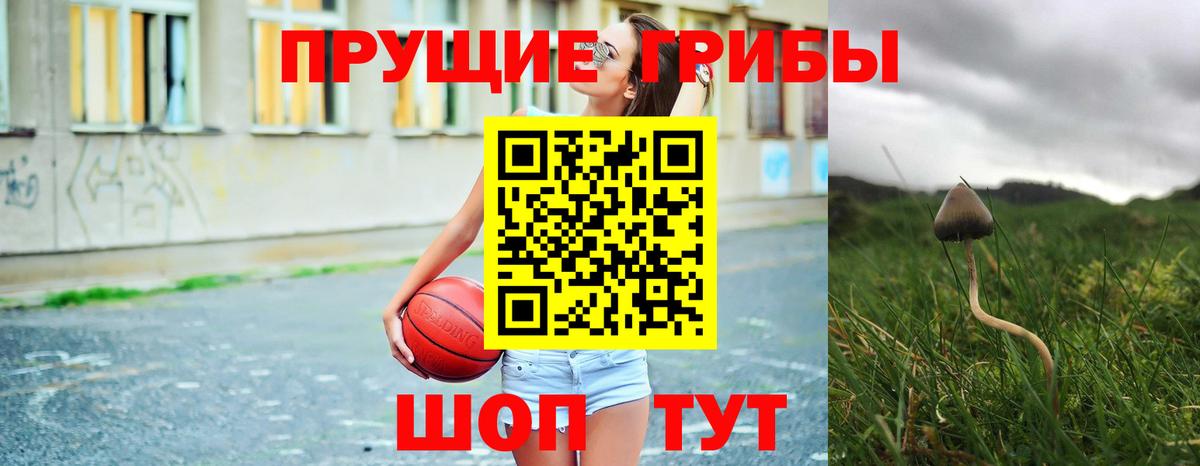 Галлюциногенные грибы ЛСД  Галлюциногенные грибы GOLDEN TEACHER  Тара  Вход с VPN 